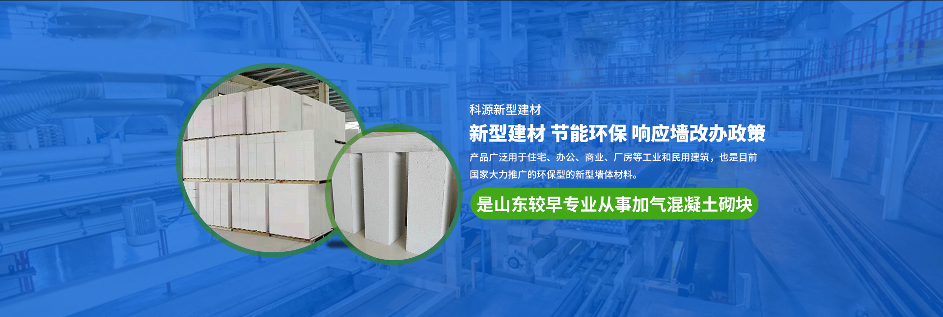正版资料全年资料大全